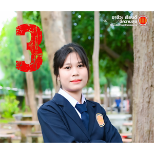 ผู้สมัครเบอร์ 3